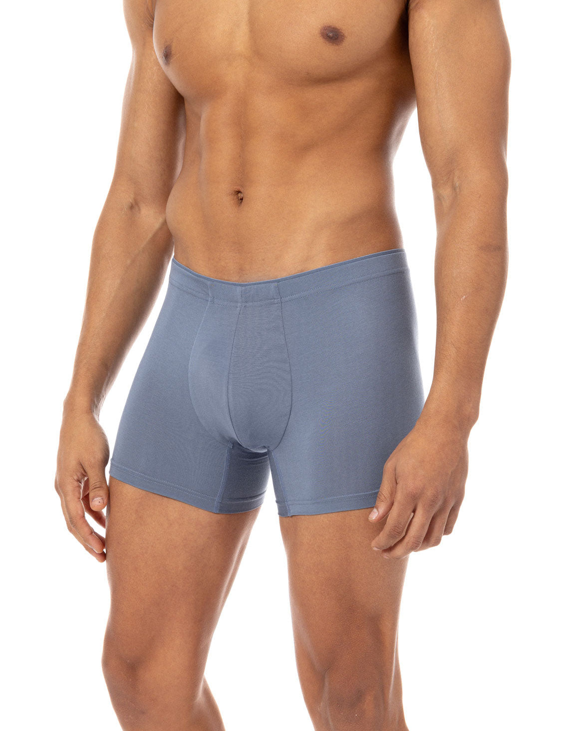 Micromodal Boxer Briefs