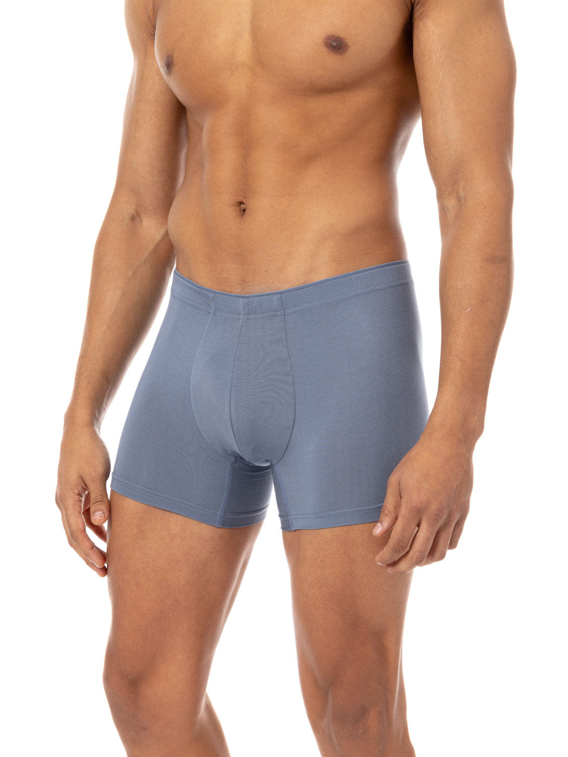 Micromodal Boxer Briefs