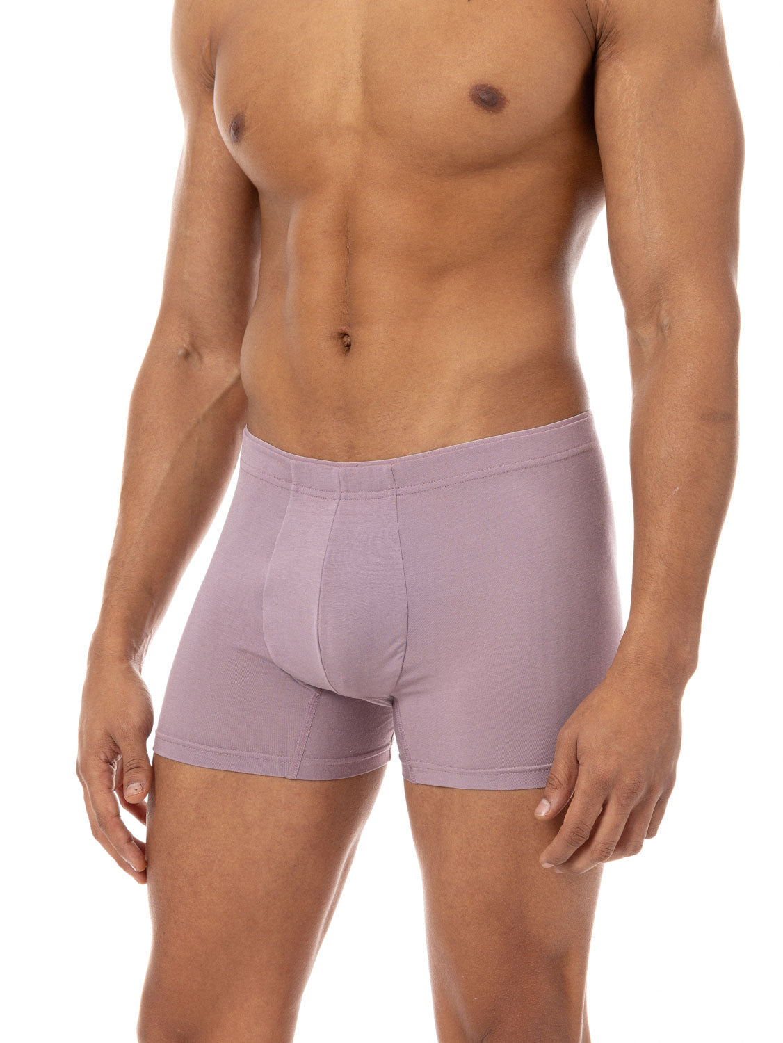 Micromodal Boxer Briefs