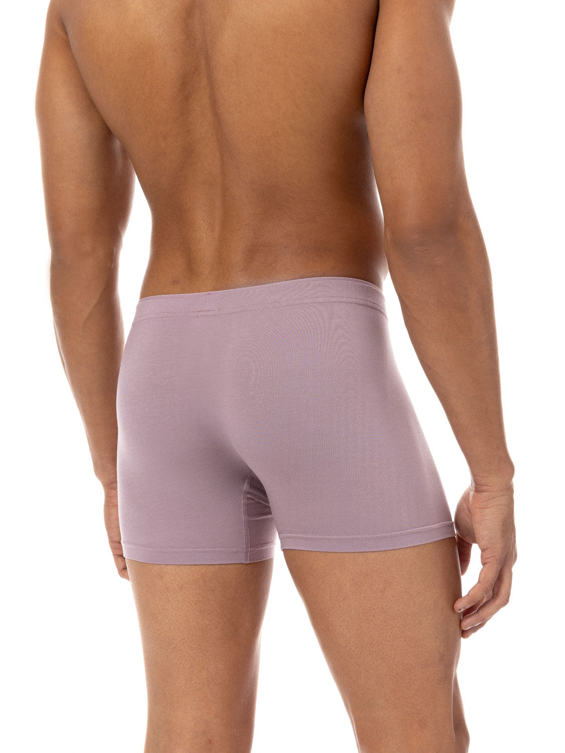 Micromodal Boxer Briefs