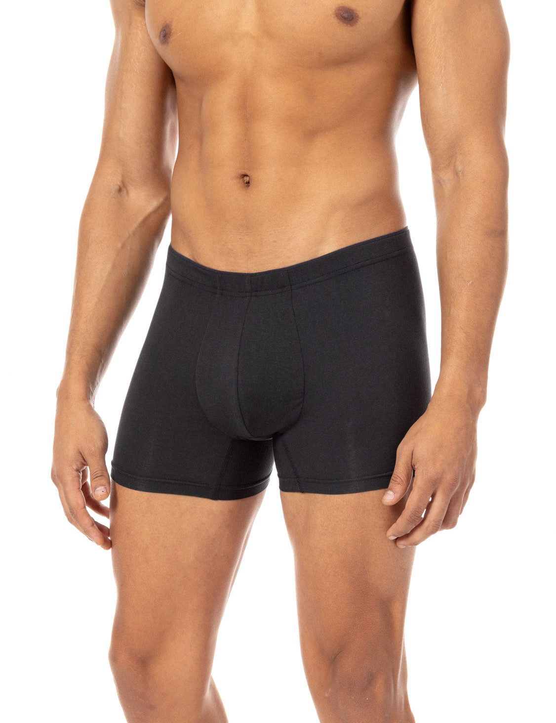 Micromodal Boxer Briefs