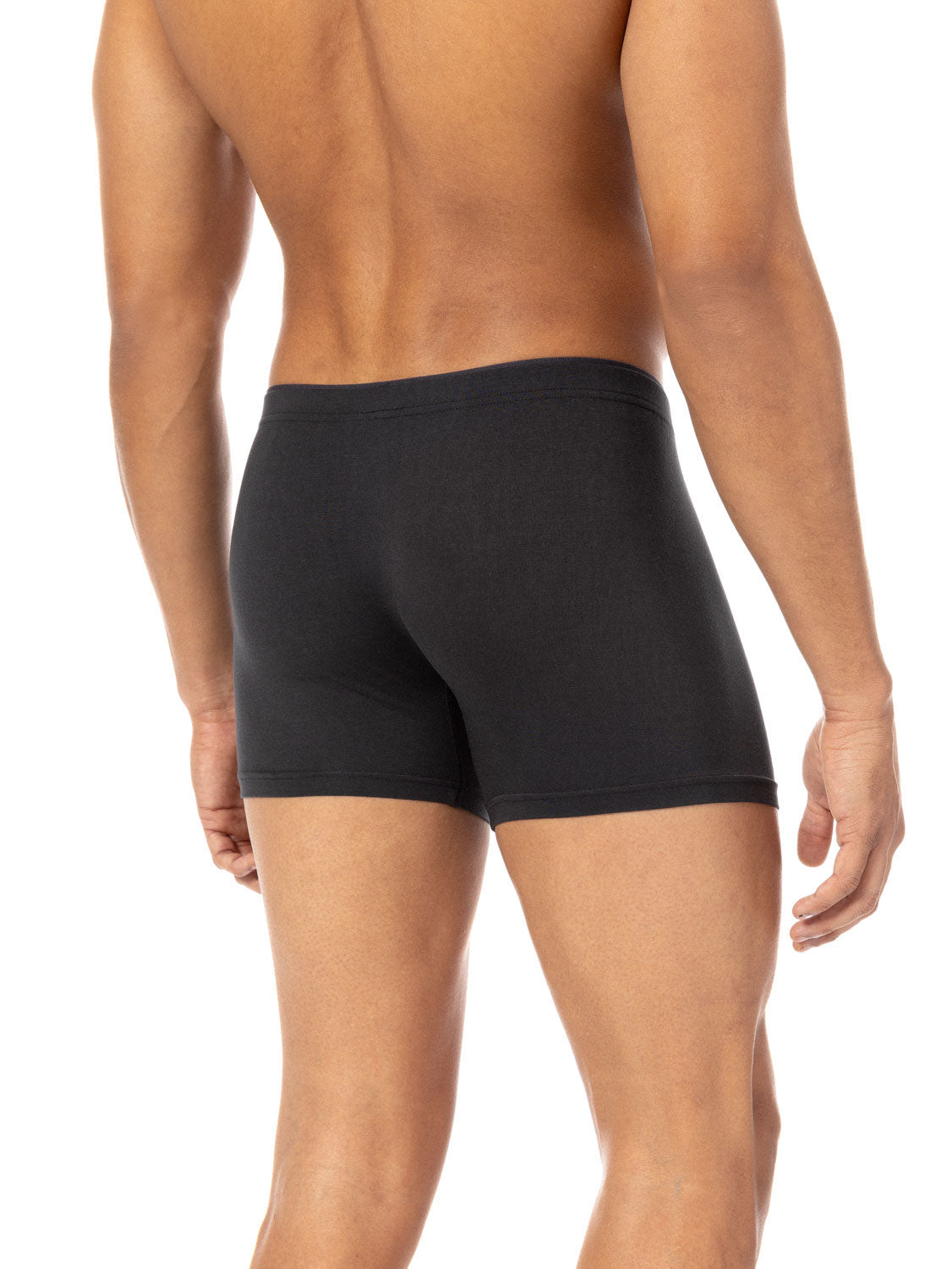 Micromodal Boxer Briefs