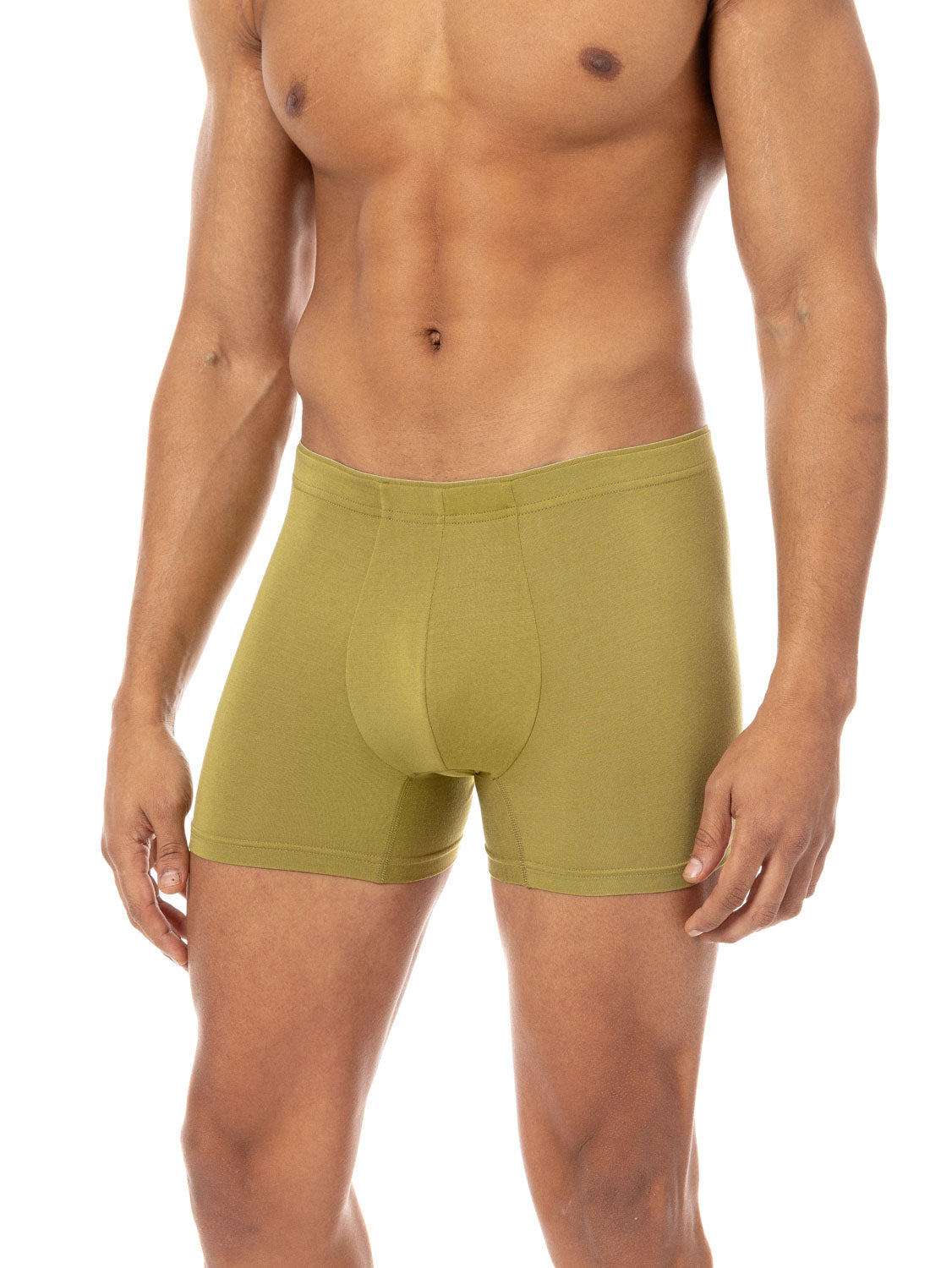 Micromodal Boxer Briefs