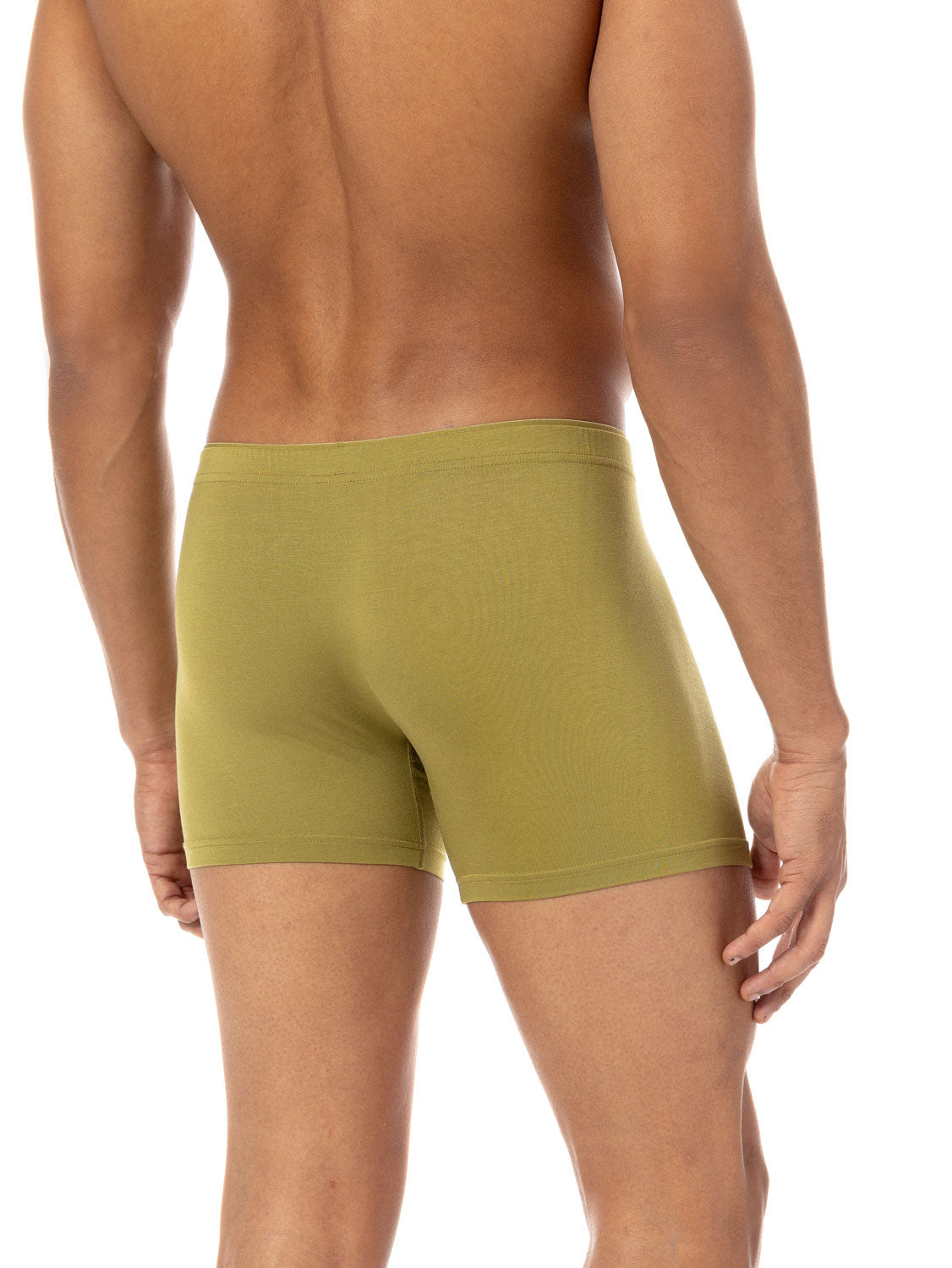 Micromodal Boxer Briefs